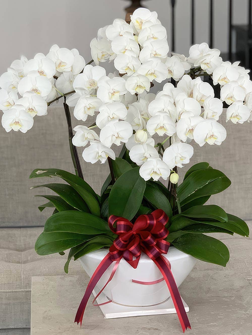 ミディ寄せ鉢 7号5本立ち